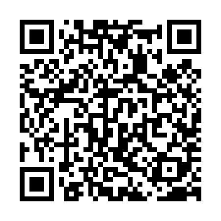 QR code for UDV489