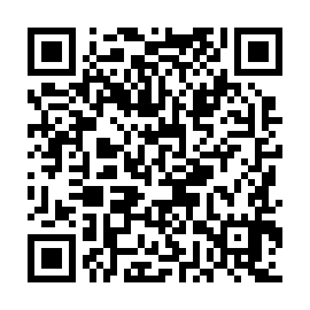 QR code for UGX295