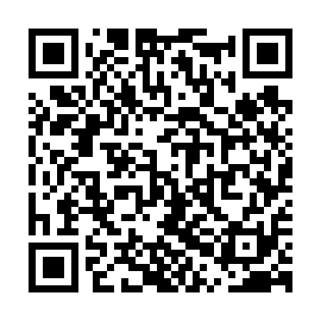 QR code for UPG611