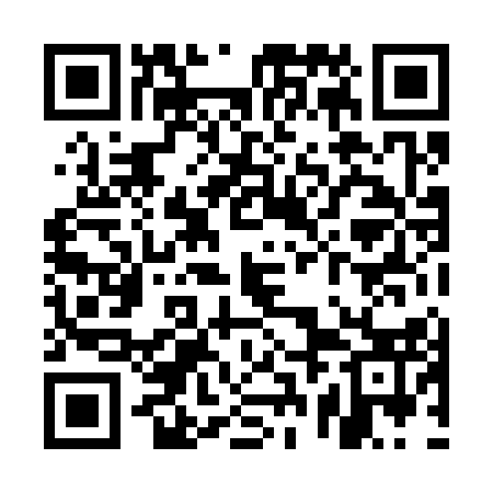 QR code for URL313