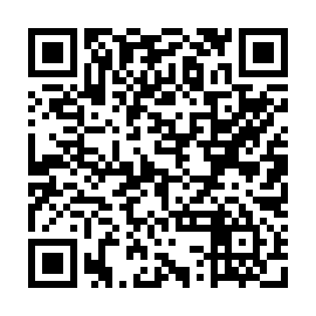 QR code for USD295