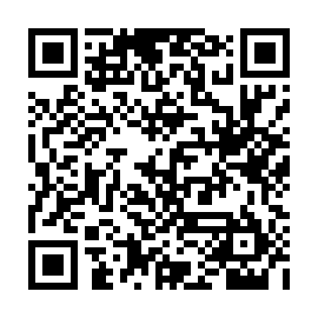 QR code for VAO595