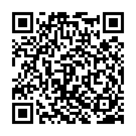 QR code for VBIE20