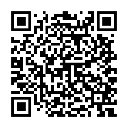 QR code for VDFE41