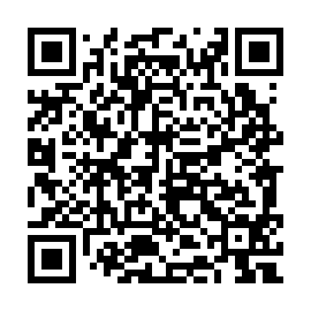 QR code for VDL394