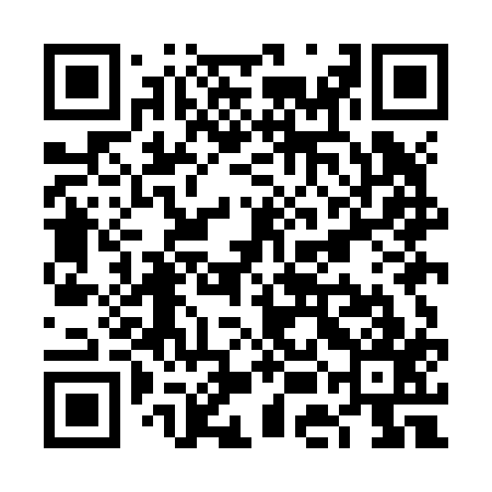 QR code for VEMJ17