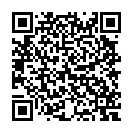 QR code for VFM017