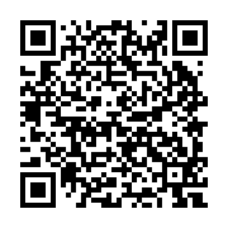 QR code for VFM293