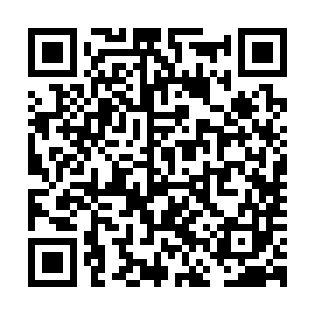 QR code for VFR383