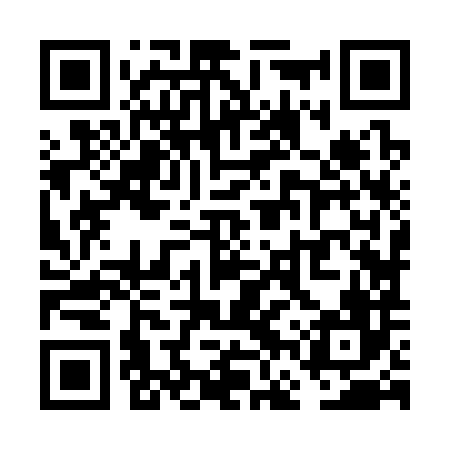 QR code for VFZ386