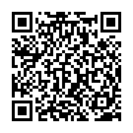 QR code for VGIX95