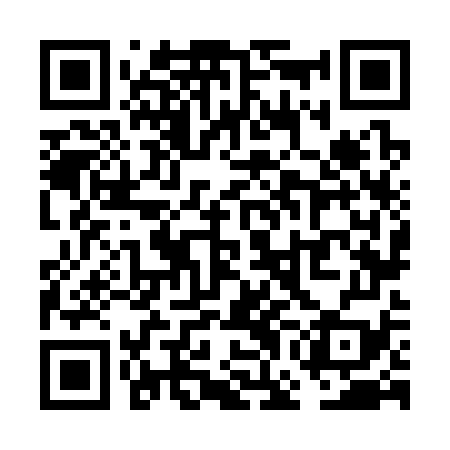QR code for VGN379