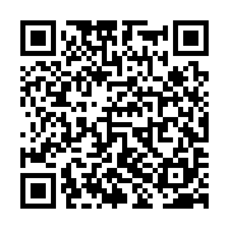 QR code for VHLC95