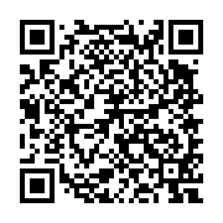 QR code for VIE491