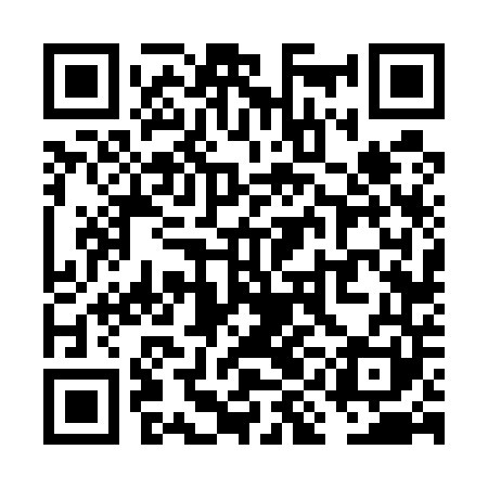 QR code for VIF541