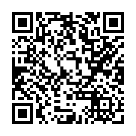 QR code for VIII11