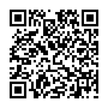 QR code for VIJS33