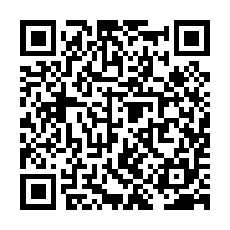 QR code for VIQ095