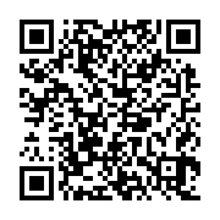 QR code for VIQO63