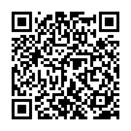 QR code for VISJ21