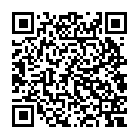 QR code for VIV221