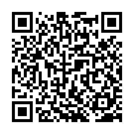 QR code for VIVL95