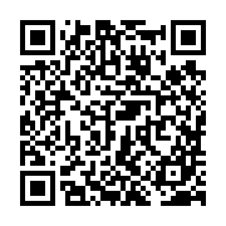 QR code for VIZ687