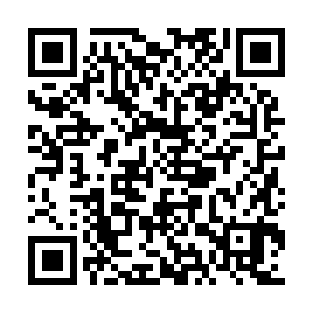 QR code for VIZ980