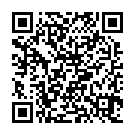 QR code for VIZR85