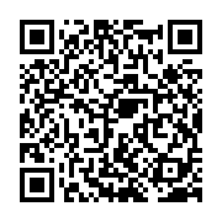 QR code for VIZZ19