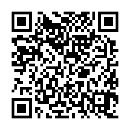 QR code for VLV385