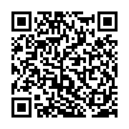 QR code for VLZN11