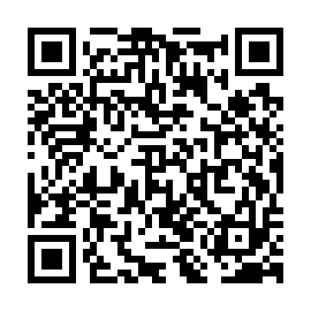QR code for VMIG13