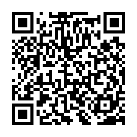 QR code for VMIG15