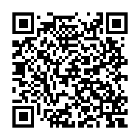 QR code for VMIG17