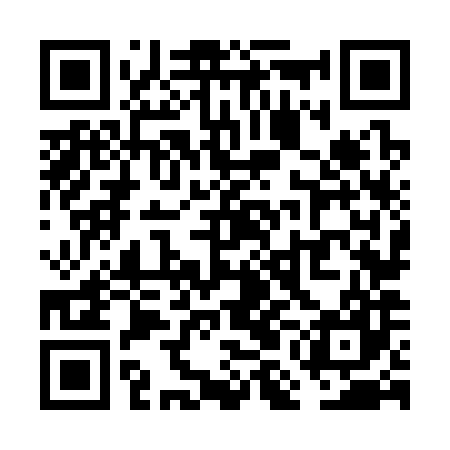 QR code for VMN387