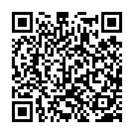 QR code for VNP608