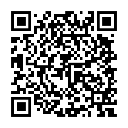 QR code for VPP491