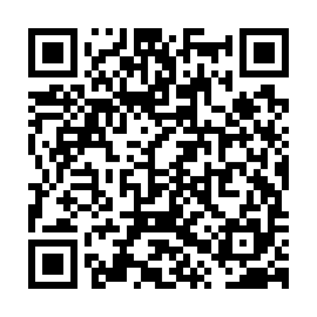 QR code for VPZG95