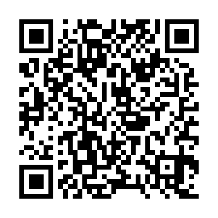 QR code for VSDX31