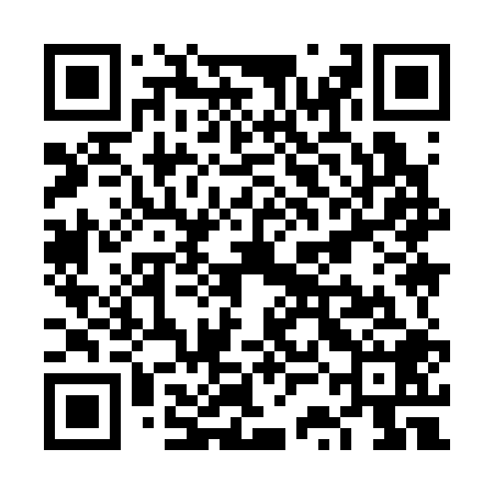 QR code for VSI308