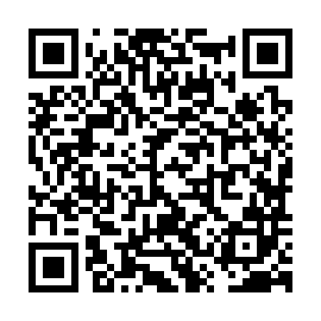 QR code for VSZ382