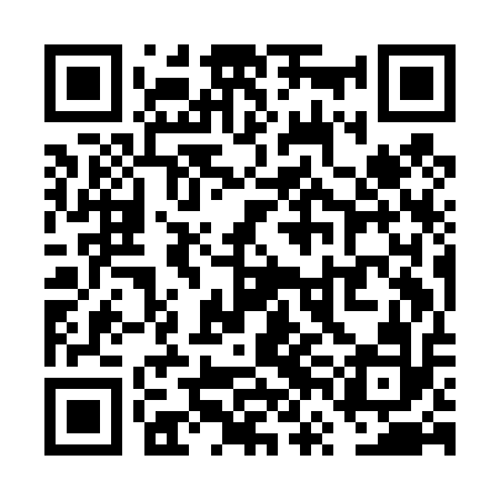 QR code for VVID12