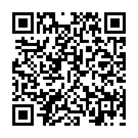 QR code for VVLI99