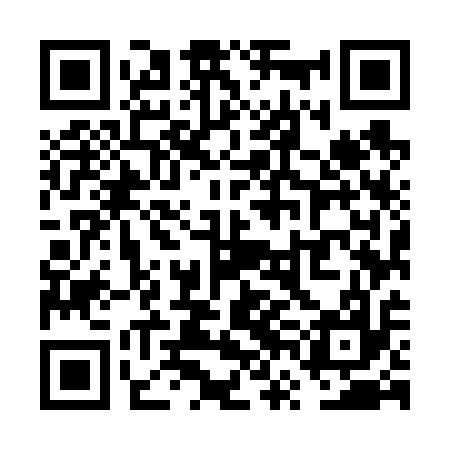 QR code for VVM617