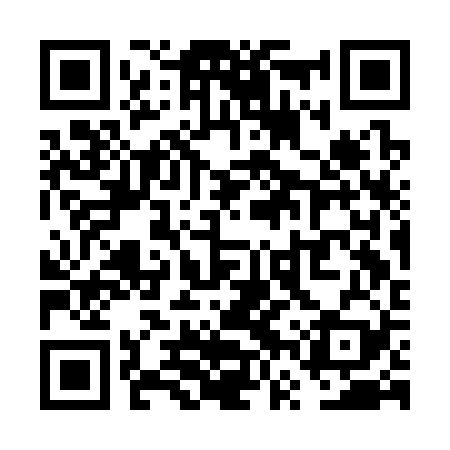 QR code for VVSC29