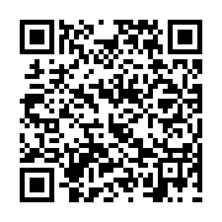 QR code for VWO217