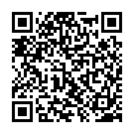 QR code for VYS333