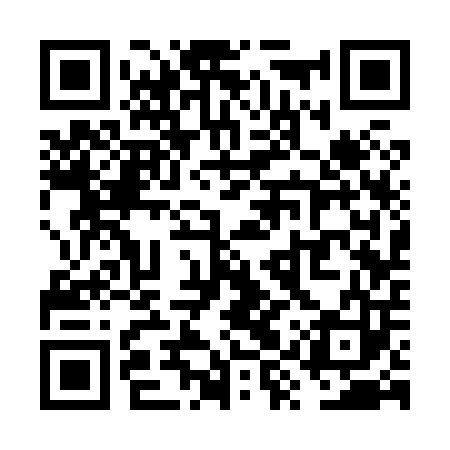 QR code for VYS803
