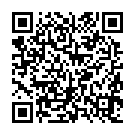 QR code for VZS395